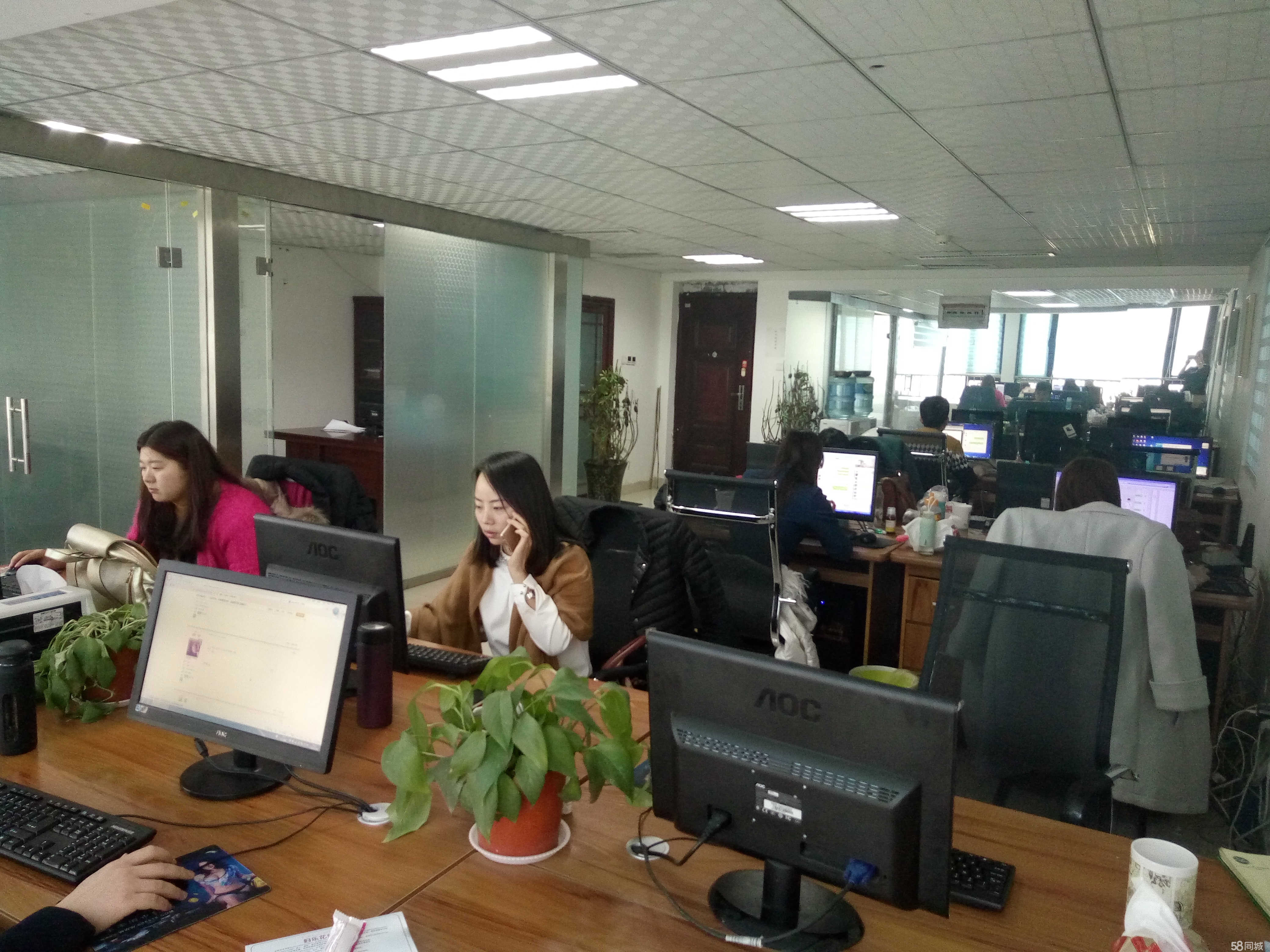 洛陽恩億電子商務(wù) 開啟專業(yè)商務(wù)信息咨詢新篇章